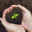 Impact on Agriculture
